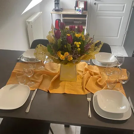 Le Square Spacieux F2 Avec Terrasse, Garage Pres De Colmar