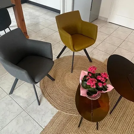 Апартаменты Le Square Spacieux F2 Avec Terrasse, Garage Pres De Colmar *